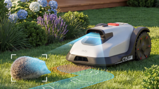 When Is the Best Time to Mow the Lawn: Morning or Evening?